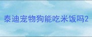 泰迪宠物狗能吃米饭吗