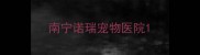 南宁诺瑞宠物医院