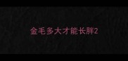 金毛多大才能长胖