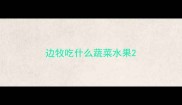 边牧吃什么蔬菜水果