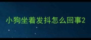 小狗坐着发抖怎么回事