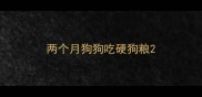 两个月狗狗吃硬狗粮