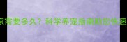 哈士奇适应新家需要多久科学养宠指南助您快速建立信任关系