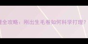 泰迪幼犬毛发护理全攻略刚出生毛卷如何科学打理附打结处理技巧