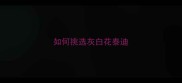 如何挑选灰白花泰迪