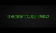 怀孕猫咪可以驱虫药吗