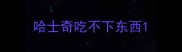 哈士奇吃不下东西