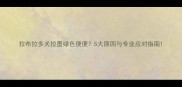 拉布拉多犬拉墨绿色便便5大原因与专业应对指南