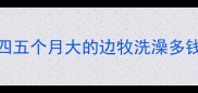 四五个月大的边牧洗澡多钱