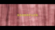 灰色边牧有什么区别