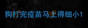 狗打完疫苗马上得细小
