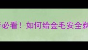金毛剃毛全攻略新手必看如何给金毛安全剃毛不翻车附护理秘籍