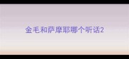 金毛和萨摩耶哪个听话