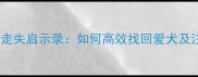 北京金毛寻回犬走失启示录如何高效找回爱犬及注意事项全攻略