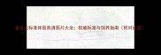金毛犬标准体型高清图片大全权威标准与饲养指南附对比图