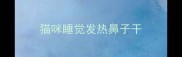 猫咪睡觉发热鼻子干