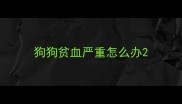 狗狗贫血严重怎么办