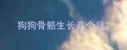狗狗骨骼生长几个月