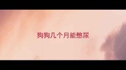 狗狗几个月能憋尿