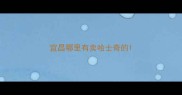 宜昌哪里有卖哈士奇的