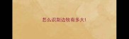 怎么识别边牧有多大