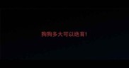 狗狗多大可以绝育