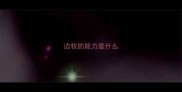 边牧的能力是什么