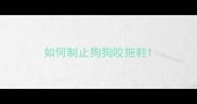 如何制止狗狗咬拖鞋