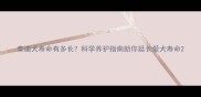 泰迪犬寿命有多长科学养护指南助你延长爱犬寿命