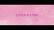 拉布拉多多大闹狗