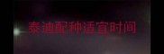 泰迪配种适宜时间