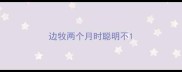 边牧两个月时聪明不