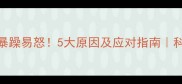 猫咪突然变得暴躁易怒5大原因及应对指南科学养护全攻略