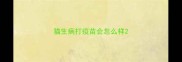 猫生病打疫苗会怎么样