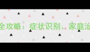 泰迪犬螨虫皮肤病全攻略症状识别家庭治疗与专业就医指南