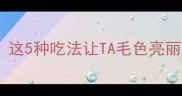 小泰迪蛋黄怎么吃这5种吃法让TA毛色亮丽肠胃好到偷笑