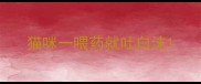 猫咪一喂药就吐白沫