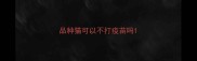 品种猫可以不打疫苗吗