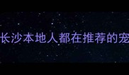 新手养宠必看长沙本地人都在推荐的宠物医院避坑指南