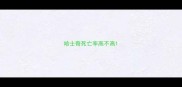 哈士奇死亡率高不高