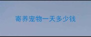 寄养宠物一天多少钱