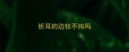 折耳的边牧不纯吗