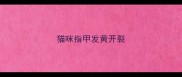 猫咪指甲发黄开裂