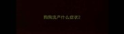 狗狗流产什么症状