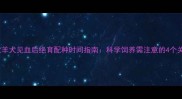 边境牧羊犬见血后绝育配种时间指南科学饲养需注意的4个关键点