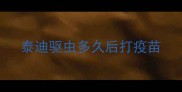 泰迪驱虫多久后打疫苗