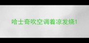 哈士奇吹空调着凉发烧
