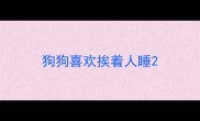狗狗喜欢挨着人睡