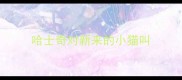 哈士奇对新来的小猫叫