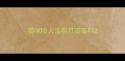 猫咪咬人没有打疫苗吗